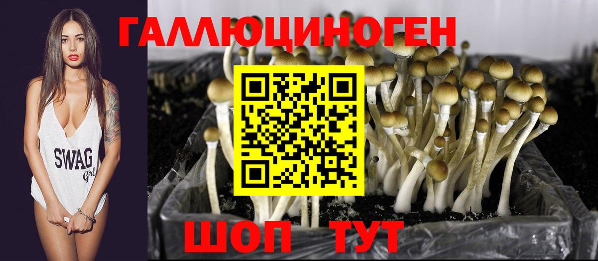 Азнакаево  Псилоцибиновые грибы Magic Shrooms  Вход с VPN 